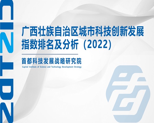 草哭黑丝校花美女在线【成果发布】广西壮族自治区城市科技创新发展指数排名及分析（2022）